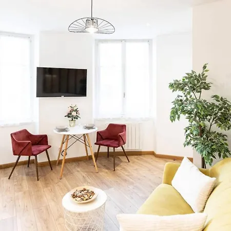 Le Vivaldi - Hypercentre Saint-étienne Appartement *
